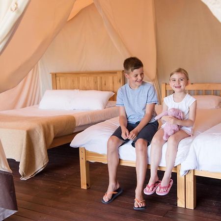 Trevella Holiday Park New Quay Dış mekan fotoğraf